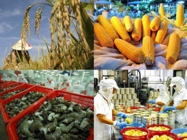9 tháng ngành nông nghiệp tăng trưởng dương trở lại