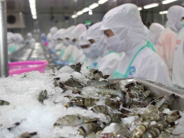 Hoa Kỳ áp thuế 4,58% đối với tôm Việt Nam
