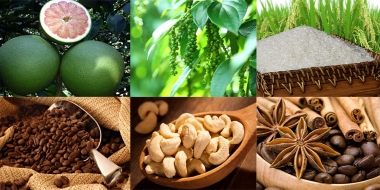 8 tháng năm 2019, Việt Nam xuất siêu nông, lâm, thủy sản 6,04 tỷ USD