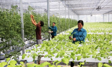 Tháng 10/2019, tổ chức Diễn đàn Kinh tế hợp tác, hợp tác xã năm 2019