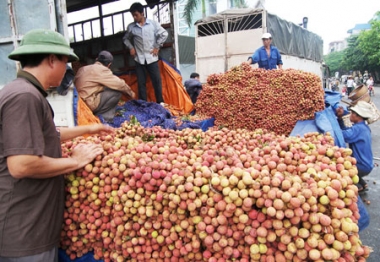Nhiều doanh nghiệp, người dân vẫn nhận thức Trung Quốc là chợ biên giới