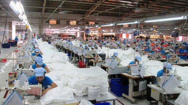 Doanh nghiệp thành lập mới vẫn tăng 1,5% trong tháng 8/2020