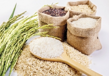 Gạo thơm xuất khẩu sang EU phải đảm bảo đủ những điều kiện gì?