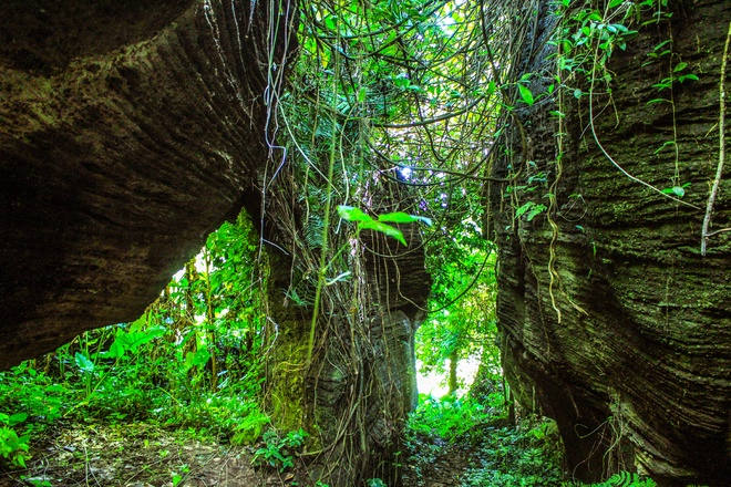 Hang dơi Tiên An - 'công viên kỷ Jura' bị lãng quên