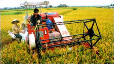 Doanh nghiệp giữ vai trò nòng cốt trong đổi mới sản xuất nông nghiệp