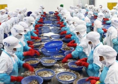Báo động tình trạng hàng thủy sản xuất khẩu bị trả về