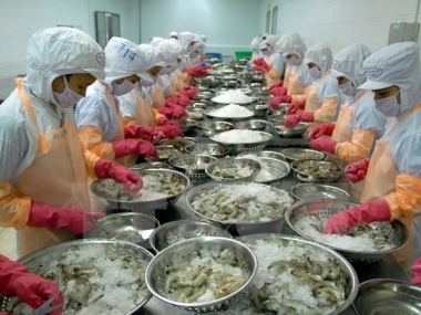 Cảnh báo của EU về kim loại nặng đối với các lô hàng thủy sản xuất khẩu