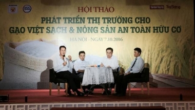 Nông dân vẫn cực nhọc sản xuất, mà lợi nhuận luôn thấp!