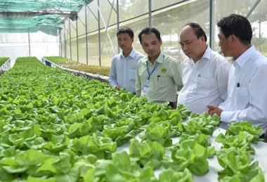 Nhiều cơ chế, chính sách thú đẩy doanh nghiệp đầu tư vào nông nghiệp, nông thôn