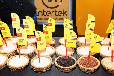 Xuất khẩu gạo sẽ đạt 3,2-3,3 tỷ USD trong năm 2018