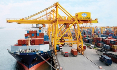 Doanh nghiệp trong nước vượt khối FDI về tăng trưởng xuất khẩu