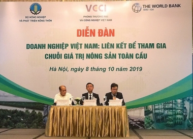 Tăng cường liên kết, thúc đẩy DN tham gia chuỗi giá trị nông sản toàn cầu