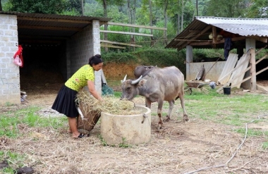 Sẽ ưu tiên đầu tư vào vùng DTTS đặc biệt khó khăn
