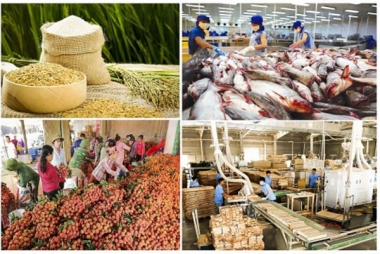 2/3 chặng đường 2020, xuất khẩu nông, lâm và thuỷ sản ước đạt 30,05 tỷ USD