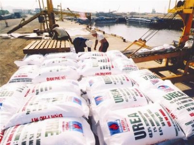 Sản lượng phân bón trong nước đủ nhu cầu vào năm 2015