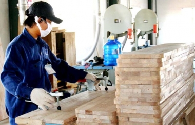 Luật Hỗ trợ DNNVV cần cụ thể hơn