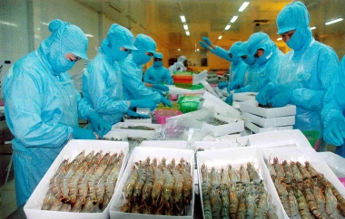 VASEP dự báo xuất khẩu thủy sản năm 2015 sụt giảm 15%