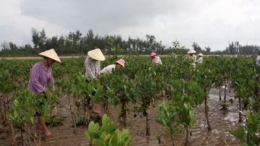 Đức tài trợ 1,5 triệu Euro giúp Việt Nam tăng cường bảo vệ nước ngầm