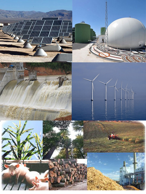 Năm 2020, điện năng sản xuất từ năng lượng mặt trời đạt mức 1,4 tỷ kWh