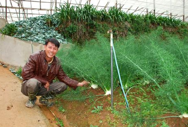 Thanh niên nghèo hiện thực giấc mơ tỷ phú nhờ tham gia hợp tác xã