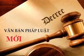 Những chính sách có hiệu lực trong tháng 12/2015