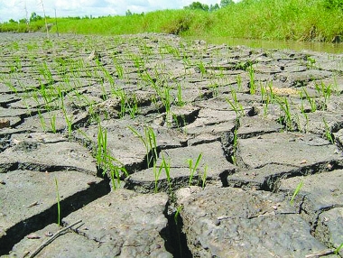 Ứng phó với biến đổi khí hậu cần ứng dụng nông nghiệp thông minh