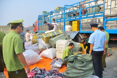 Cần nhiều biện pháp chống buôn lậu, hàng giả dịp Tết Đinh Dậu 2017