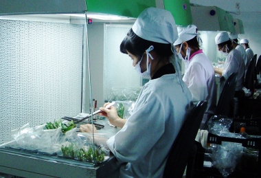 Phải có ít nhất 1 cán bộ kỹ thuật có trình độ từ cao đẳng trở lên về lĩnh vực trồng trọt