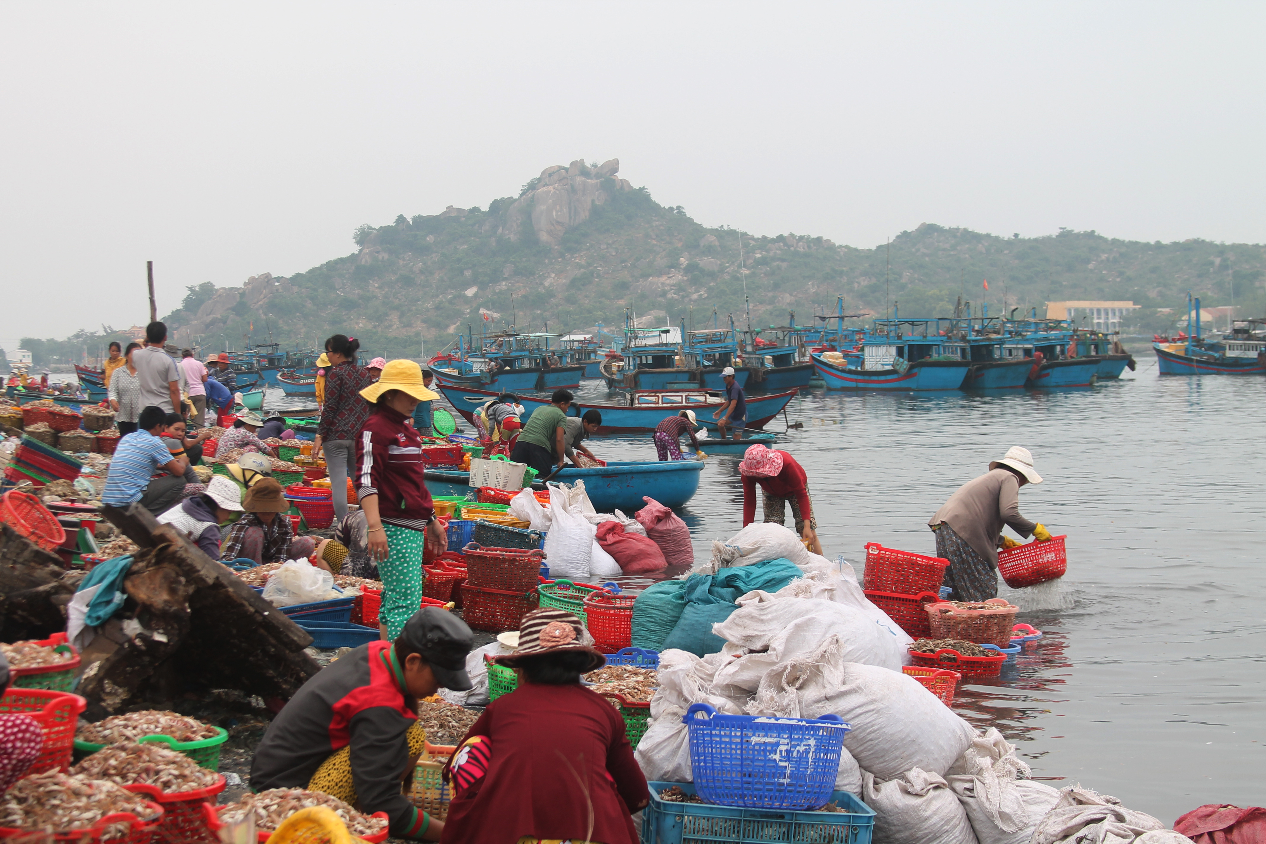 Một thoáng Đầm Nại