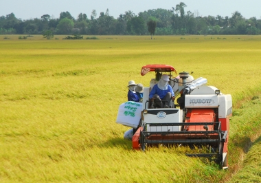 Vì sao doanh nghiệp nông nghiệp mãi không phát triển?