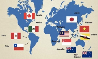 Áp dụng biện pháp tự vệ chuyển tiếp khi thực thi CPTPP