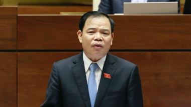 "Gỡ" thẻ vàng thủy sản: Giá trị kinh tế không nhiều, nhưng là danh dự của Việt Nam!