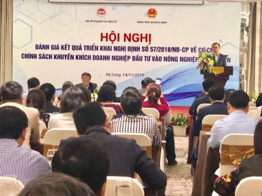 Tháo gỡ khó khăn về vốn cho DN đầu tư vào nông nghiệp, nông thôn