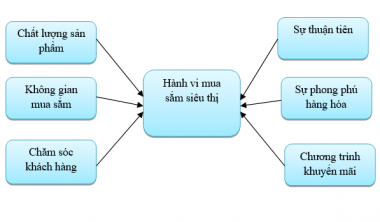 Các nhân tố ảnh hưởng đến hành vi lựa chọn nơi mua sắm tại siêu thị của người tiêu dùng trên địa TP. Đà Nẵng