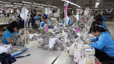 2014: Xuất khẩu dệt may có thể đạt 24,5 tỷ USD