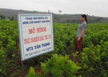 "Tiếp sức" cho hợp tác xã mới