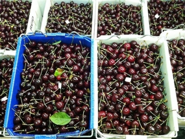 Kiểm soát chặt hoa quả từ Úc, nhưng lại “dễ dãi” với Trung Quốc