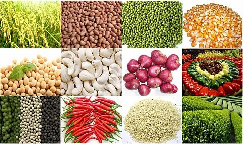 Thị trường nông sản thế giới trong tuần qua