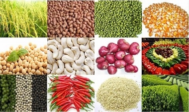 Thị trường nông sản thế giới trong tuần qua
