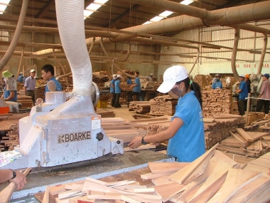 Nâng cao tính minh bạch trong xuất khẩu gỗ sang thị trường EU