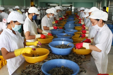 Cần hướng dẫn người dân sản xuất những sản phẩm đảm bảo ATVSTP