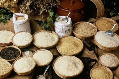 Năm 2016 xuất khẩu gạo Việt Nam, Thái Lan và Ấn Độ sẽ thế nào?