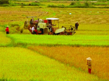 DN e dè đầu tư vào nông nghiệp: Do có quá nhiều rào cản!