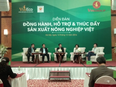 Doanh nghiệp phải là hạt nhân liên kết nông dân với thị trường