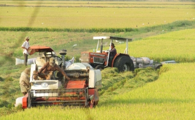 Thấy gì sau 5 năm thực hiện Luật Hợp tác xã năm 2012?