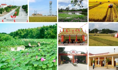 Ninh Bình hướng tới xây dựng nông thôn mới kiểu mẫu
