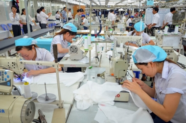 Xuất khẩu dệt may đạt 31 tỷ USD trong năm 2017