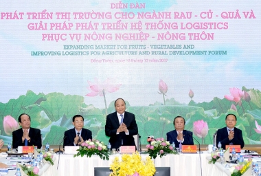 Thủ tướng: Thất thoát sau thu hoạch ngành rau quả còn rất cao