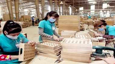 Xuất khẩu gỗ sẽ chạm mốc 8 tỷ USD trong năm nay