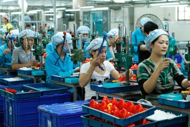 Năm 2017: Doanh nghiệp thành lập mới tiếp tục đạt kỷ lục mới!